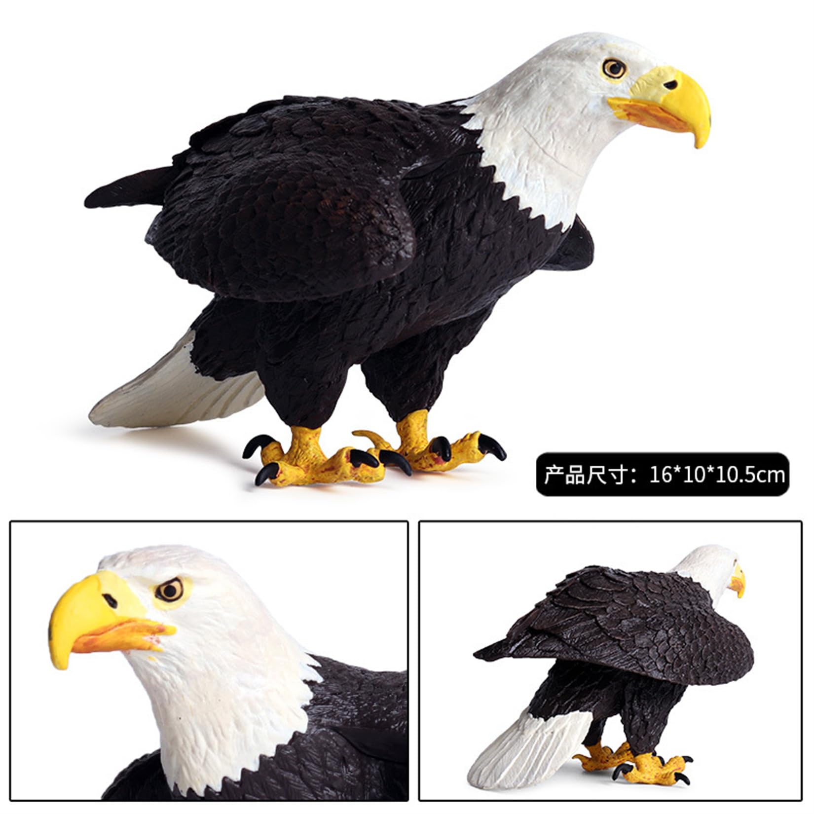 Amazon.co.jp: EUHELOPA ハクトウワシ 16cm フィギュア 白頭鷲 タカ目